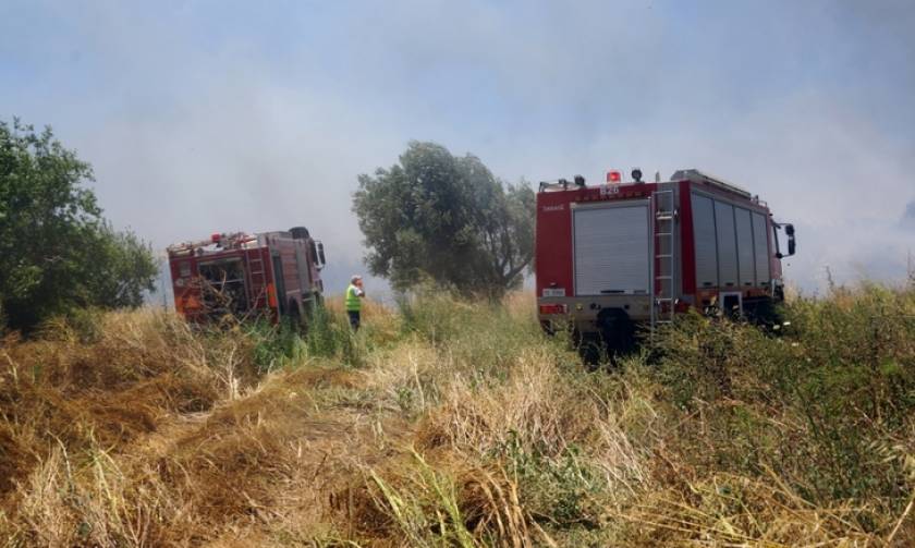 Φωτιά: Σε ύφεση η πυρκαγιά στην Κερατέα