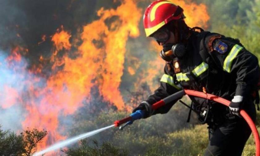 Φωτιά ΤΩΡΑ: Μεγάλη πυρκαγιά στη Λακωνία