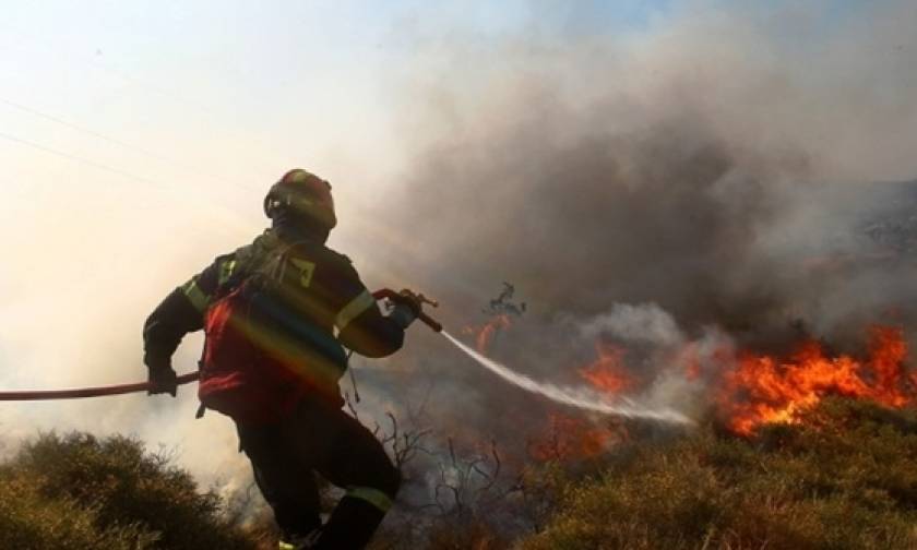 Έσβησε η φωτιά στο Καρά Τεπέ της Μυτιλήνης - «Μαύρισε» ο τόπος