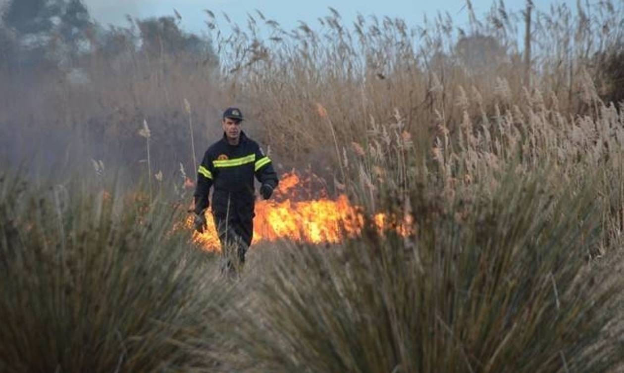 Αναζωπυρώθηκε η φωτιά στη Λακωνία: Οι φλόγες «έζωσαν» τον Κότρωνα
