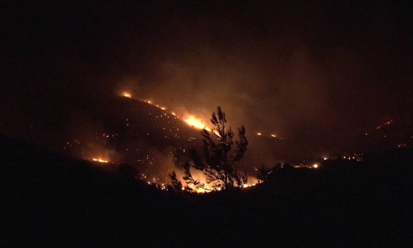 Φωτιά σε δασική έκταση στο Μαραθώνα
