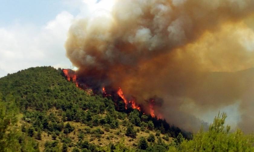 Σε πύρινο κλοιό όλη η χώρα - Φωτιές σαρώνουν διάφορες περιοχές της Ελλάδας