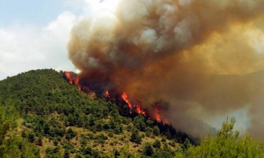 Σε εξέλιξη πυρκαγιές σε Αγρίνιο και Βόλο