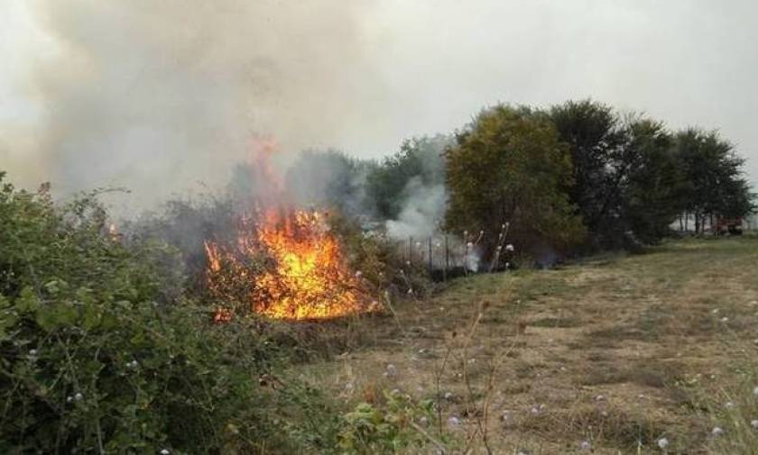 Φωτιά ΤΩΡΑ: Πυρκαγιά στην περιοχή Αποκορώνου Χανίων