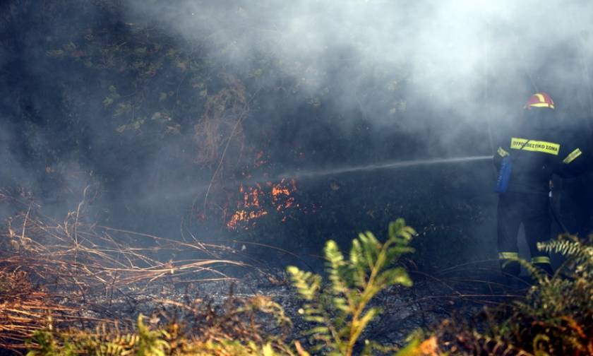 Αχαΐα: Σε ύφεση η φωτιά στην περιοχή Μαγούλα του Κάτω Καστριτσίου