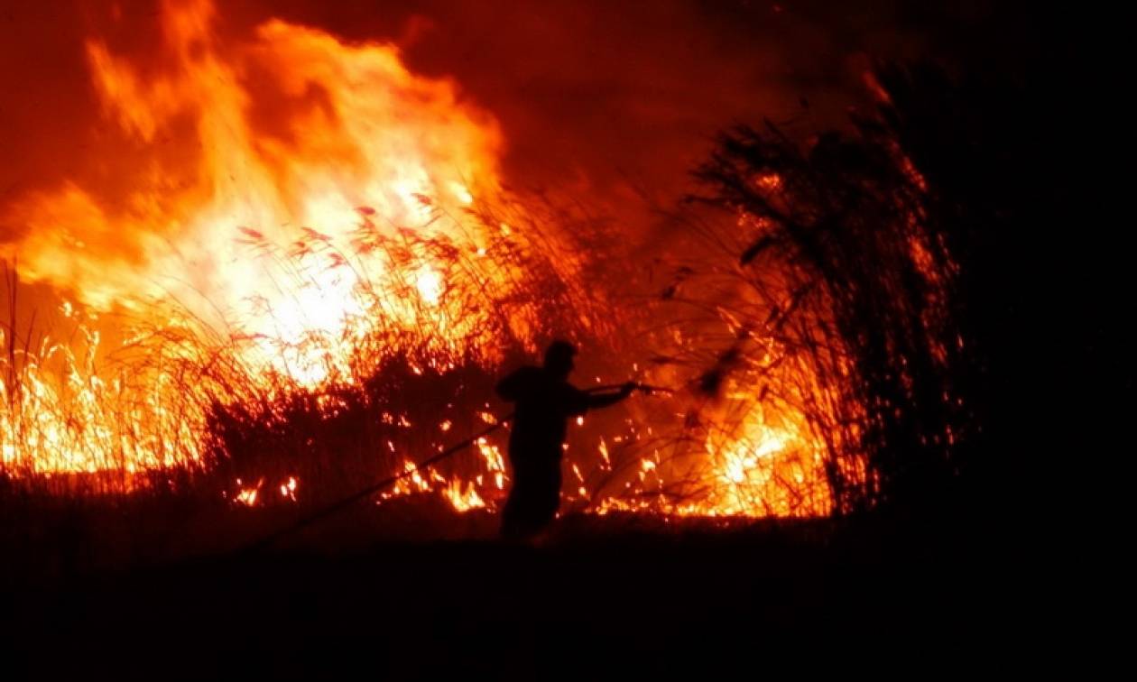 Φωτιά στη Λακωνία: Σε ύφεση η πυρκαγιά στην περιοχή Κοκκάλα