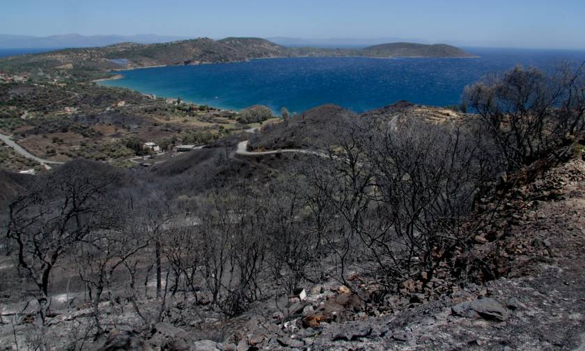 Πυρκαγιές σε όλη τη χώρα: Φλέγεται η Μάνη - Σε ύφεση οι φωτιές σε Μέγαρα, Πάτρα και Χανιά