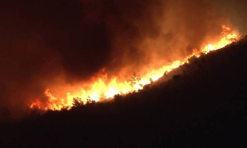 Κομοτηνή: Ολονύχτια μάχη με τις φλόγες στα βουνά της Ροδόπης