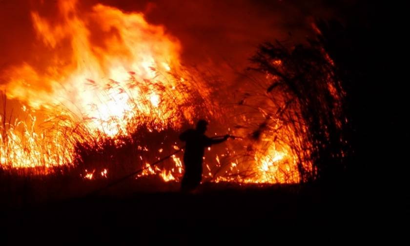 Ροδόπη: Πύρινη λαίλαπα σαρώνει δασική έκταση στη Νέα Σάντα - Ολονύχτια η μάχη με τις φλόγες