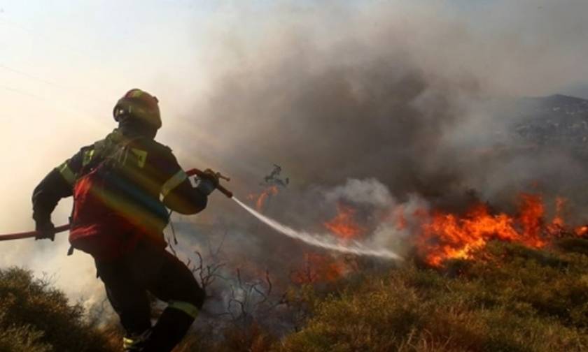 Φωτιά ΤΩΡΑ: Μεγάλη πυρκαγιά κοντά σε κατοικημένη περιοχή στο Βιβάρι Δρεπάνου