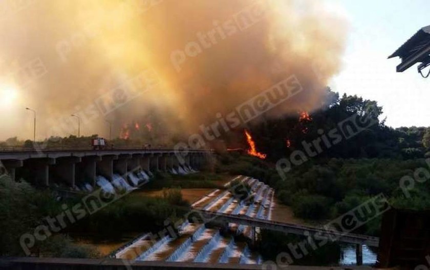 Φωτιά ΤΩΡΑ στο παρθένο δάσος στην Αλφειούσα Ηλείας (pics)