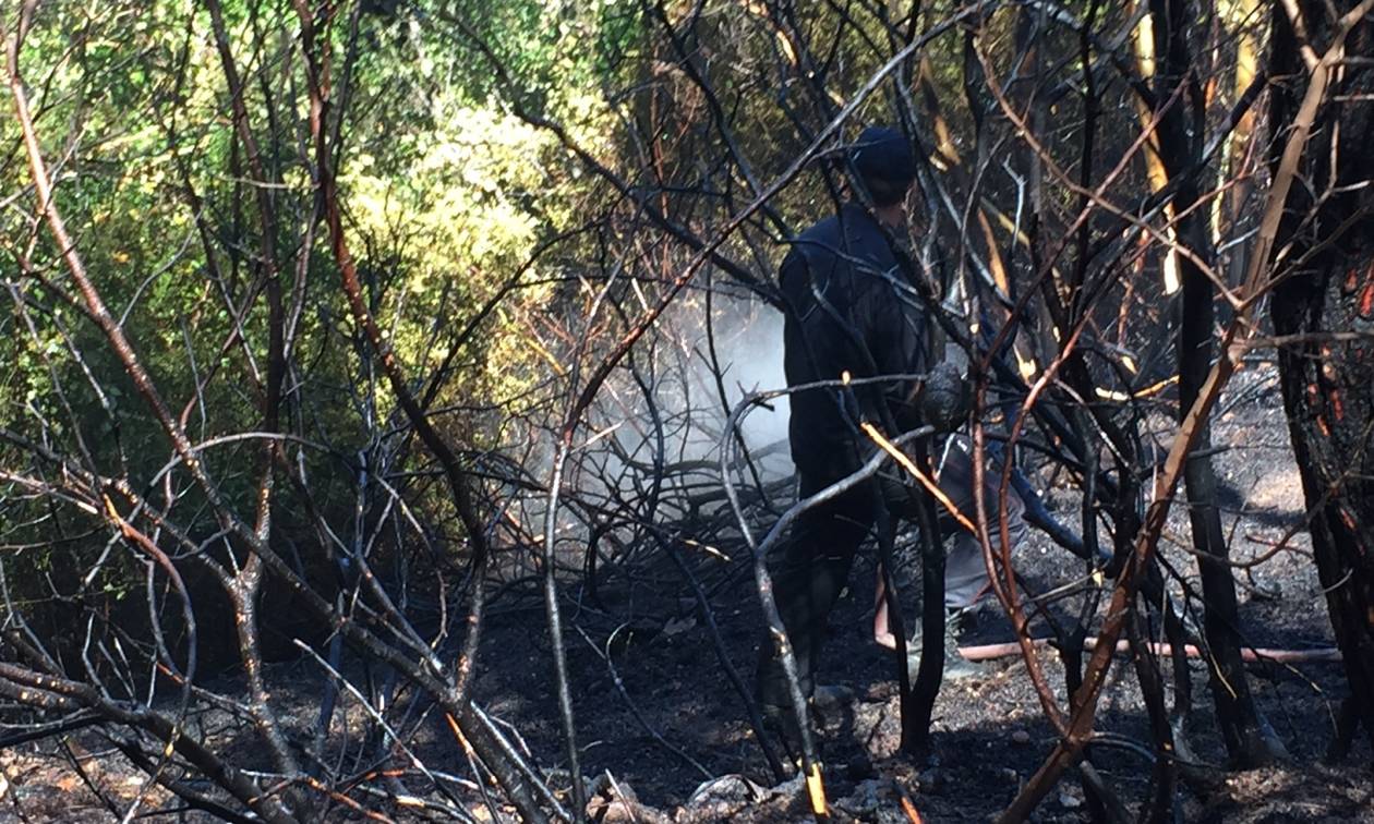 ΦΩΤΙΑ ΤΩΡΑ: Σε ύφεση η πυρκαγιά στο Κρυονέρι