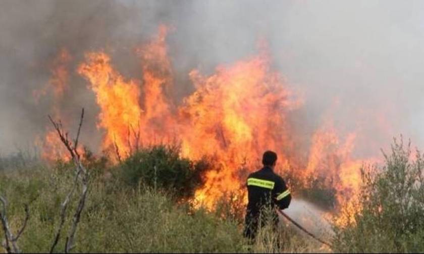 Φωτιά ΤΩΡΑ: Μεγάλη πυρκαγιά κοντά σε σπίτια στην Αρτέμιδα