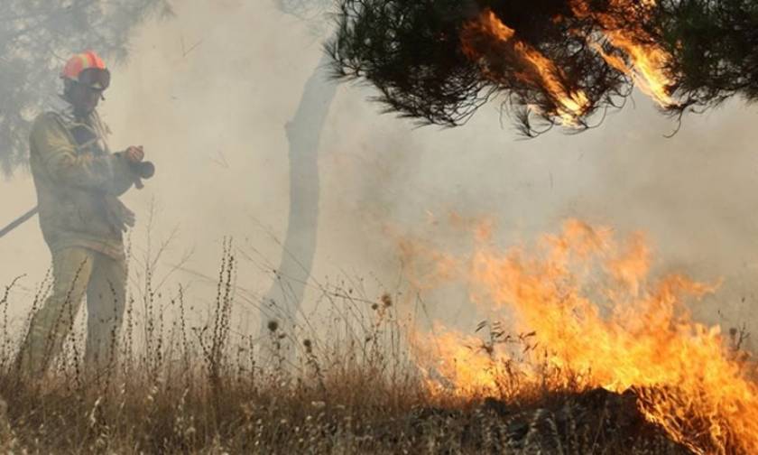 Λάρισα: Υπό έλεγχο τέθηκε η πυρκαγιά στον Τύρναβο