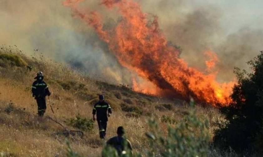 Κρήτη: Μεγάλη φωτιά στη Σητεία