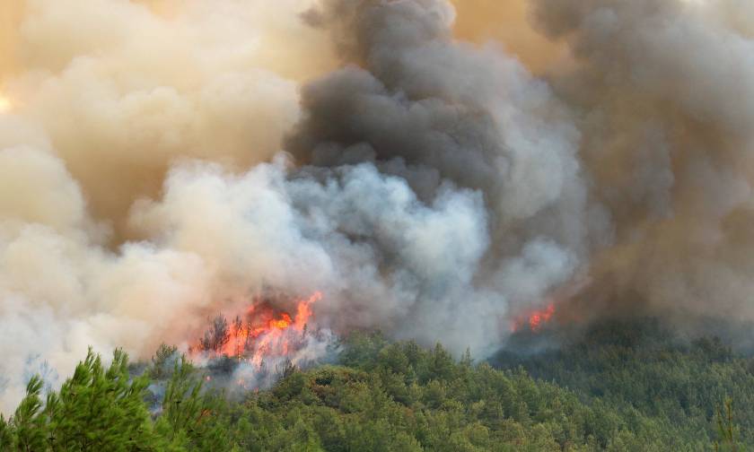 Φωτιά ΤΩΡΑ: Μαίνεται η μεγάλη πυρκαγιά στην Ιεράπετρα (pics&vids)