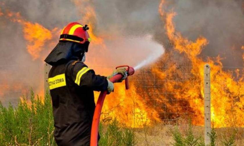 Πενήντα έξι δασικές πυρκαγιές εκδηλώθηκαν σε όλη την Ελλάδα, το τελευταίο 24ωρο