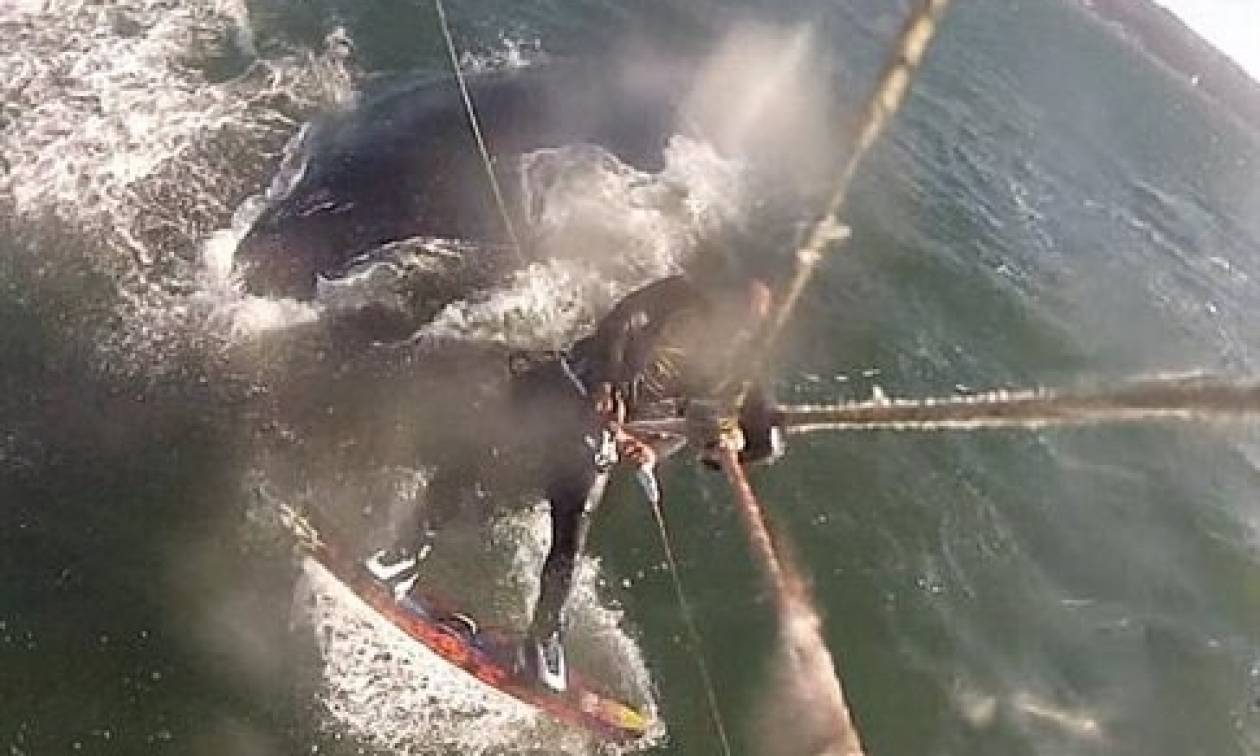 Επικό βίντεο: Έκανε kitesurf και... σκόνταψε πάνω σε μια φάλαινα!