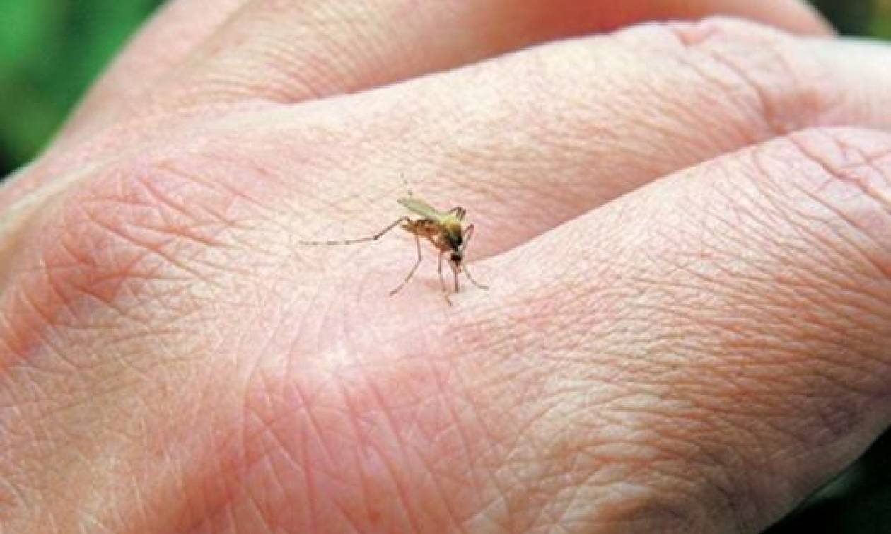 Προσοχή! Ποιες περιοχές της Ελλάδας μπαίνουν σε καραντίνα λόγω ελονοσίας!