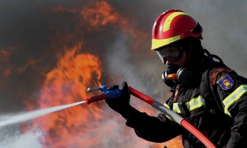 Φωτιά ΤΩΡΑ: Πυρκαγιά στο Λιβάδι Ρόπα της Κέρκυρας