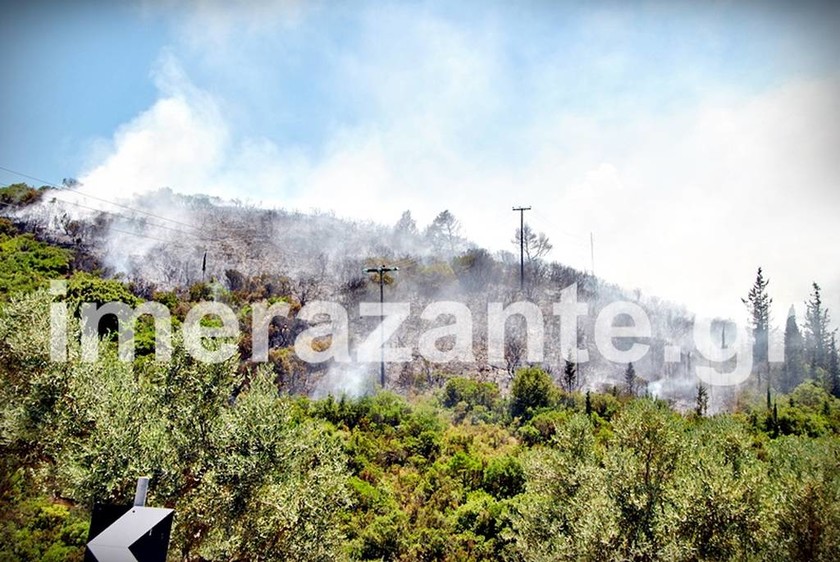 Οικολογική καταστροφή από τη φωτιά στη Ζάκυνθο: Στάχτη χιλιάδες στρέμματα δάσους 