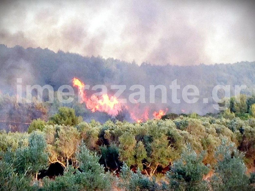 Φωτιά τώρα: Ακόμα μία νύχτα κόλασης στη Ζάκυνθο - Ανεξέλεγκτη η κατάσταση στο νησί! (pics)