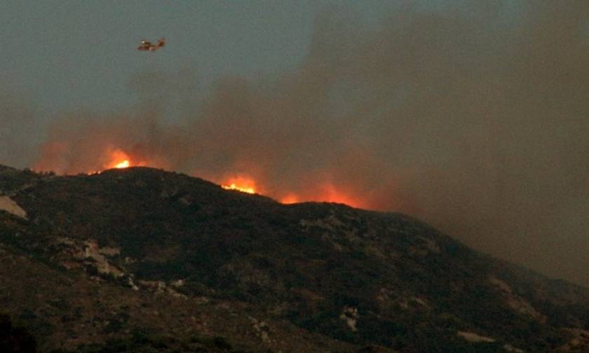 Φωτιά τώρα - Ζάκυνθος: Σε ύφεση η πυρκαγιά στην περιοχή των Βολιμών
