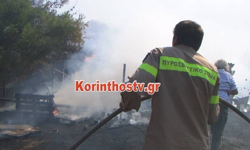 Ολονύχτια μάχη με τις φλόγες στο Ζευγολατιό Κορινθίας - Τρεις πυροσβέστες τραυματίες