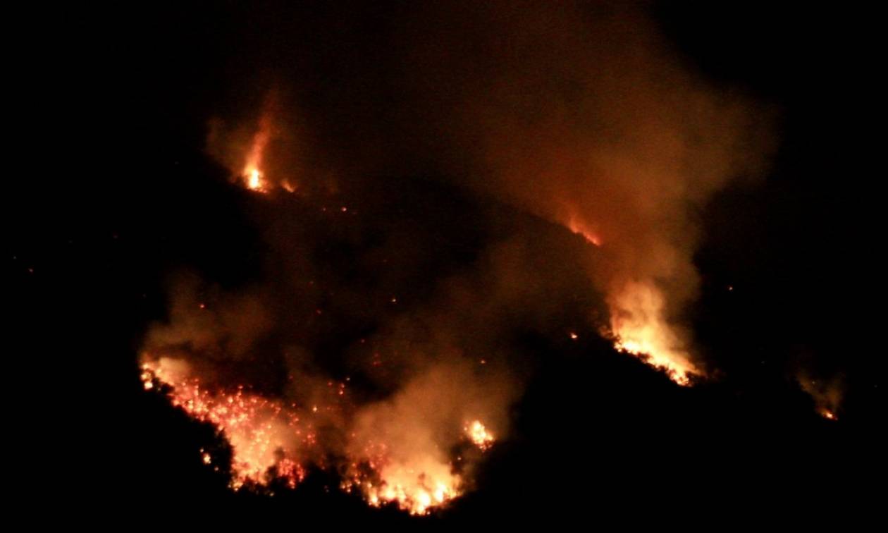 Καίγεται η Ιταλία: Δύο νεκροί στις πυρκαγιές που μαίνονται στην Καλαβρία