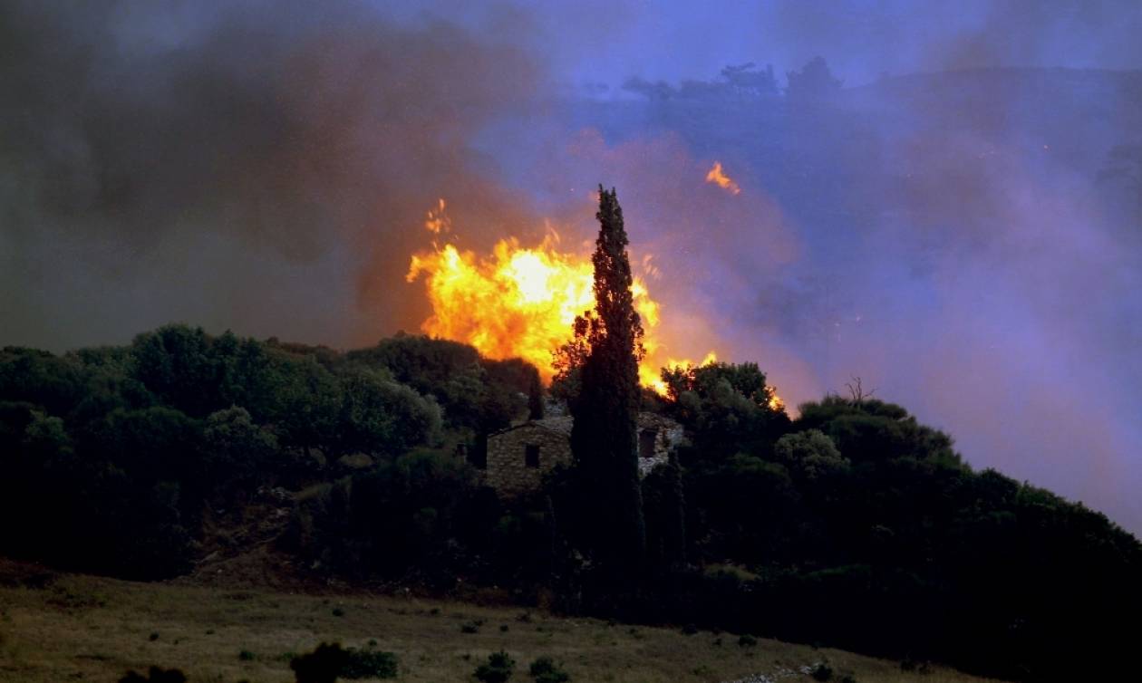 Φωτιά - Έβρος: Από κεραυνό προκλήθηκε η μεγάλη πυρκαγιά - Απειλείται το Εθνικό Πάρκο της Δαδιάς