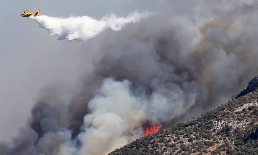 Μαίνεται η πυρκαγιά στο Σουφλί - Σκληρή η«μάχη» των πυροσβεστών με τις φλόγες