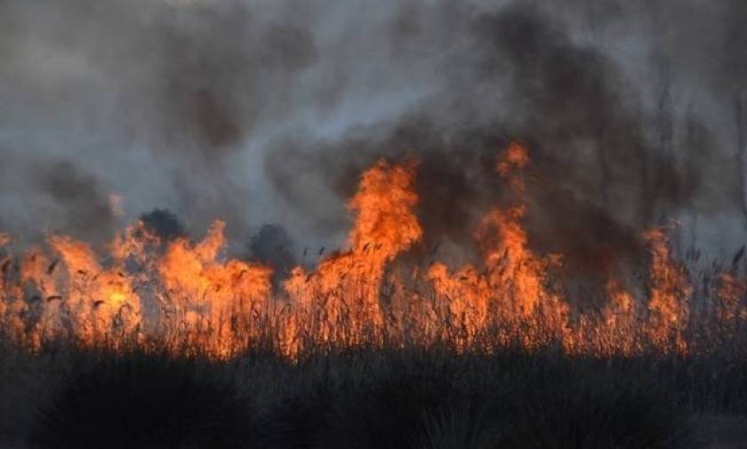 Κρήτη: Φωτιά ΤΩΡΑ στο Σφηνάρι Κισσάμου