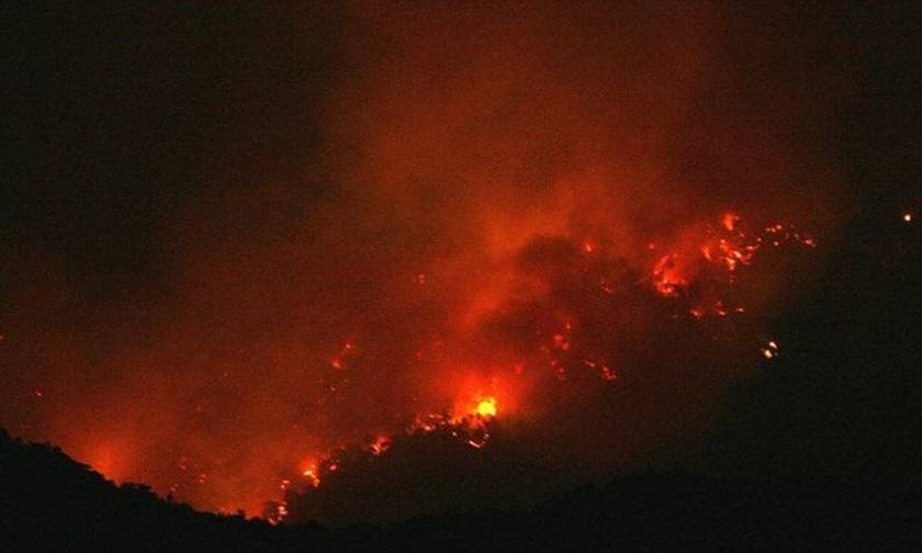 Φωτιά ΤΩΡΑ: Σε εξέλιξη μεγάλη πυρκαγιά στην Κερατέα