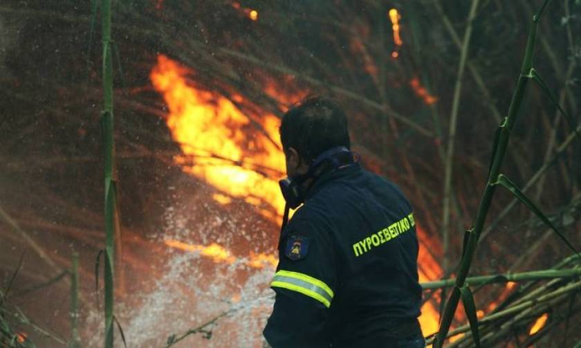 Μεγάλη πυρκαγιά στα Ιωάννινα κοντά σε οικισμό