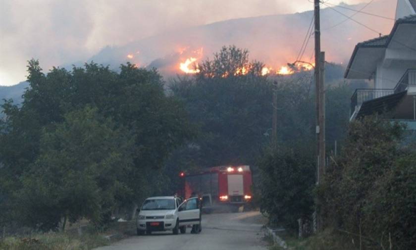 Μαίνεται η φωτιά στα Ιωάννινα – Ολονύχτια μάχη με τις φλόγες που απείλησαν οικισμό