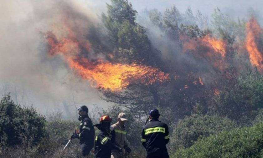 Νέα πυρκαγιά στη Ζάκυνθο κοντά στο χωριό Μαχαιράδο