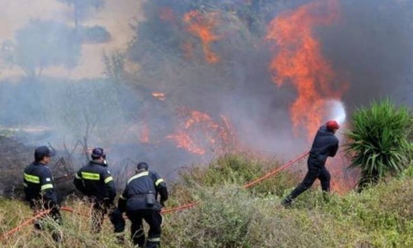 Φωτιά τώρα: Καίγεται αγροτοδασική έκταση στη Μεσσηνία