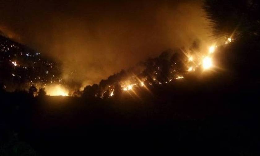 Φωτιά τώρα: Νέα πυρκαγιά στην Κέρκυρα - Μάχη με τις φλόγες στην περιοχή του Άγιου Μαρτίνου