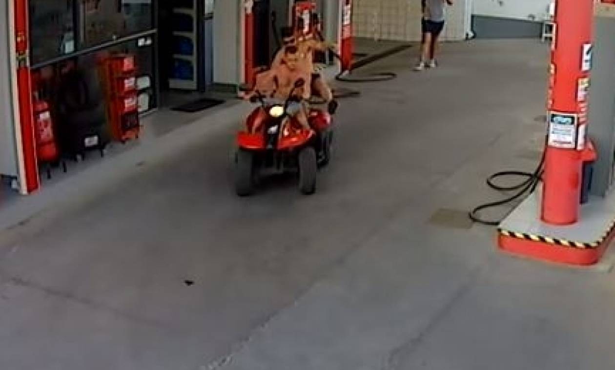 Κρήτη: Γουρούνα φεύγει με «χίλια» από βενζινάδικο – Δείτε τι συμβαίνει στο συνοδηγό (vid)