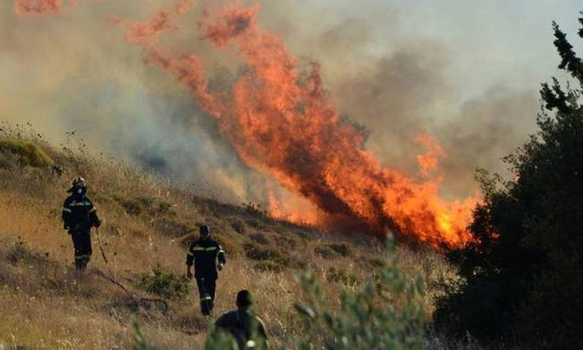 Φωτιά ΤΩΡΑ: Πυρκαγιά στον Μύρτο Ιεράπετρας