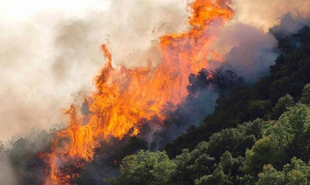 Φωτιά τώρα: Πύρινος εφιάλτης στη Ζάκυνθο κοντά στο «Ναυάγιο»