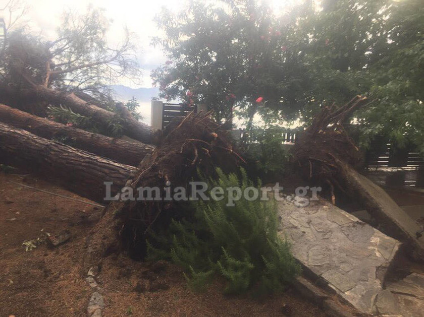 Καιρός: Εικόνες καταστροφής στη Φθιώτιδα από ισχυρό μπουρίνι και χαλάζι (photos & vid)