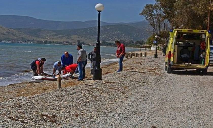Νεκρός ανασύρθηκε 71χρονος από παραλία της Πιερίας
