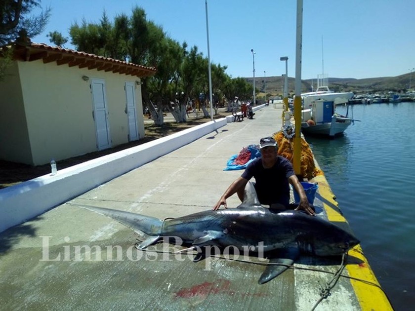 Τρόμος στις ελληνικές θάλασσες – Έπαθαν σοκ δύο ψαράδες με αυτό που έπιασαν στη Λήμνο (pics)