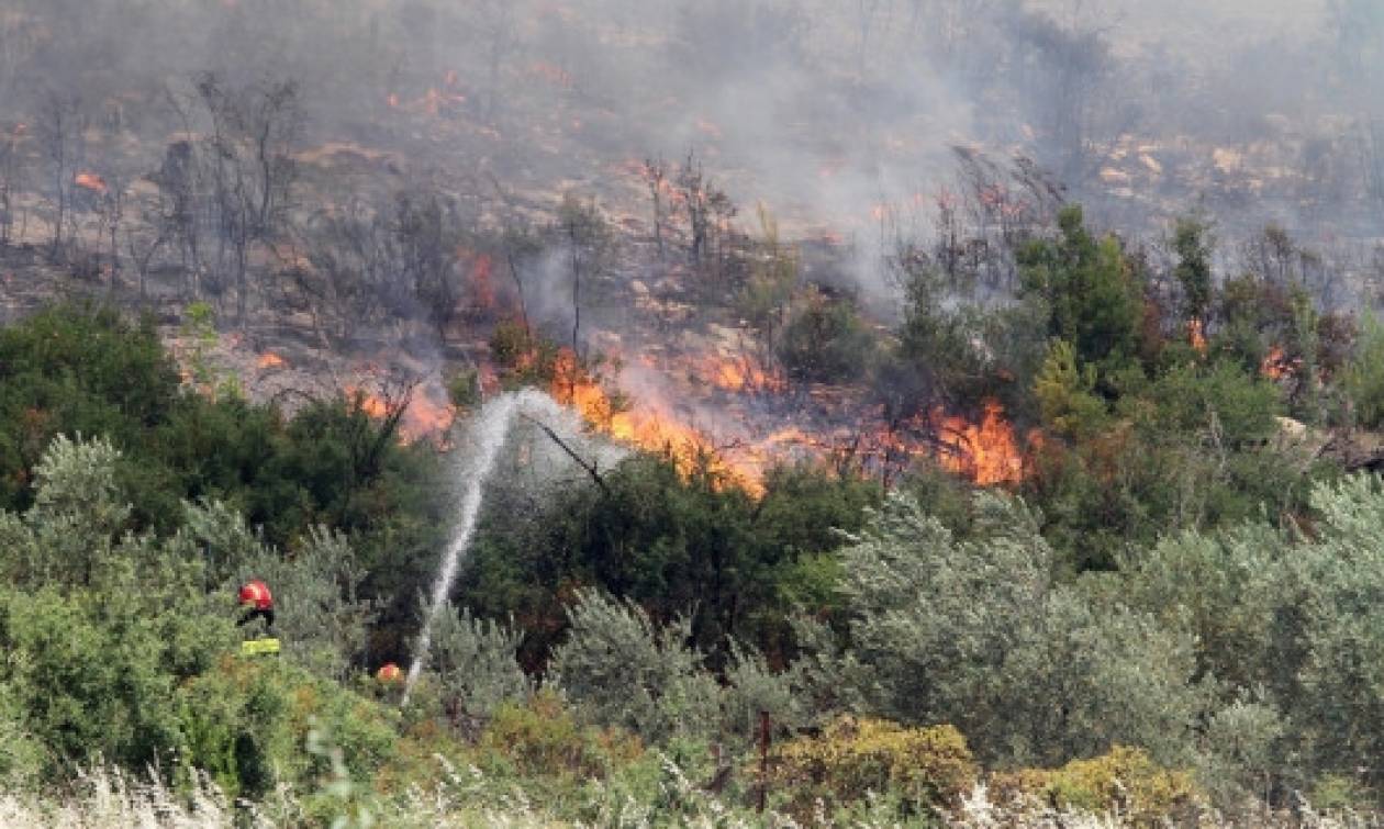 Συναγερμός στο Πικέρμι για μεγάλη φωτιά – Οι φλόγες απείλησαν ξενοδοχείο