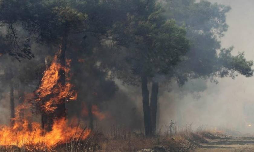 Φωτιά ΤΩΡΑ: Μεγάλη πυρκαγιά στις Κορυσχάδες Ευρυτανίας