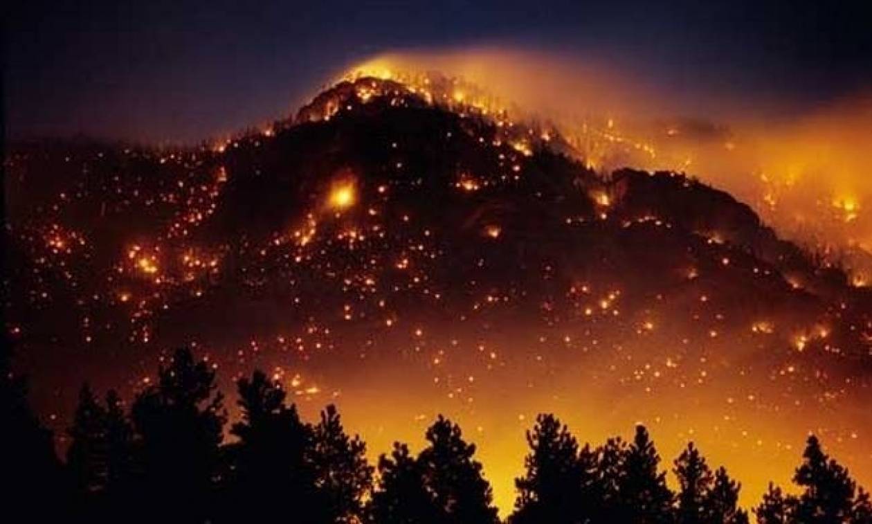 Φωτιά ΤΩΡΑ: Σε πλήρη εξέλιξη πυρκαγιά σε ελατόδασος στις Κορυσχάδες Ευρυτανίας