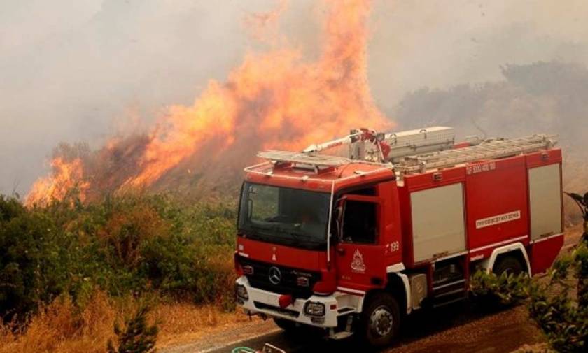 Μεγάλη φωτιά ΤΩΡΑ στα Καλύβια Αττικής - Κοντά σε σπίτια οι φλόγες