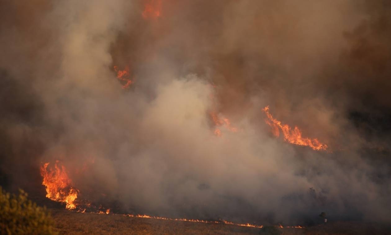 Φωτιά Καλύβια: Μέχρι την παραλία έφτασαν οι φλόγες - Δραματικές ώρες για τους κατοίκους