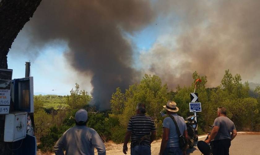 Φωτιά ΤΩΡΑ: Συναγερμός σε Ανάβυσσο και Σπέτσες – Μια ανάσα από τα πρώτα σπίτια οι φλόγες (pics+vids)